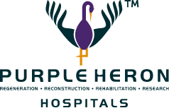 Purple Heron